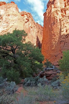08 Singing Canyon
