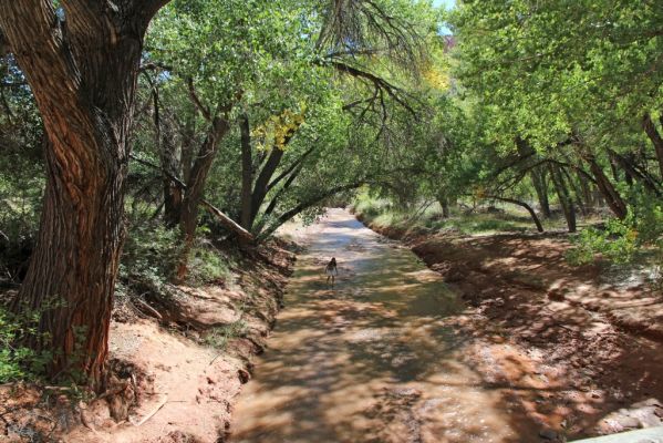16 Capitol Reef
