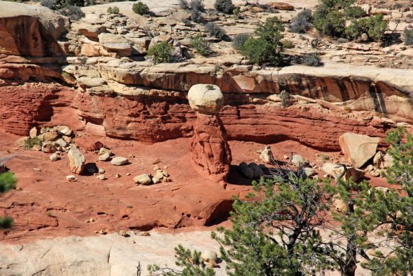 29 Capitol Reef
