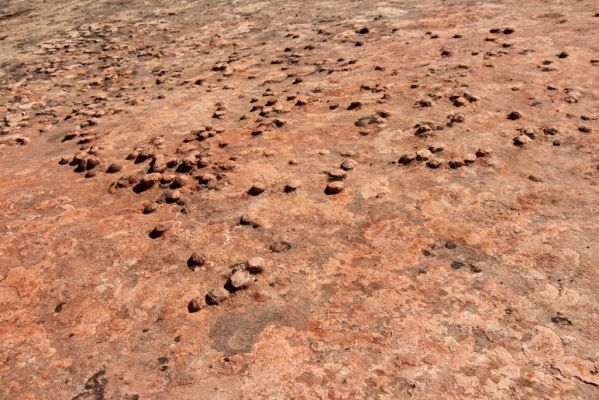 30 Capitol Reef
