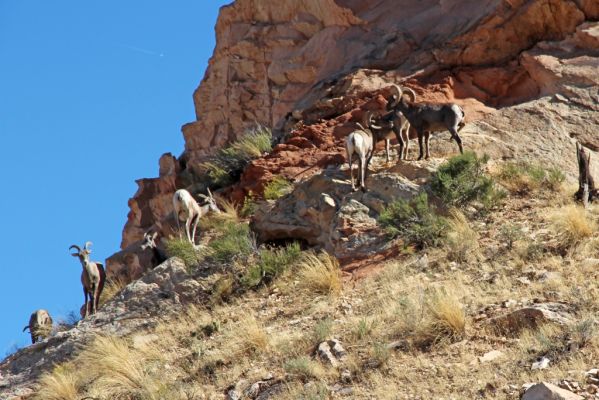 09 Colorado NM
