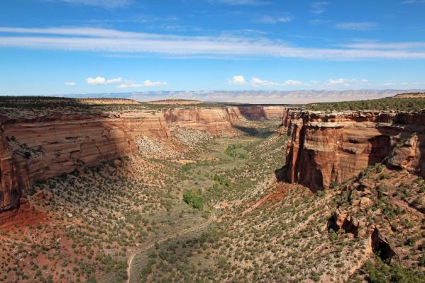 15 Colorado NM

