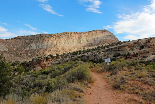 16 Colorado NM
