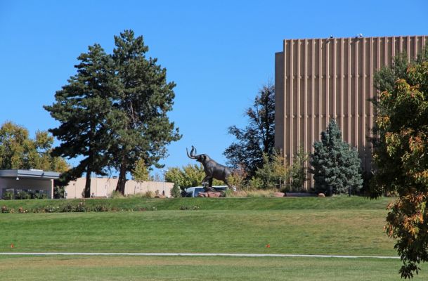 19 Denver
