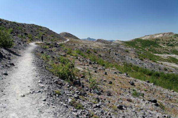 Mt St Helens Trail
