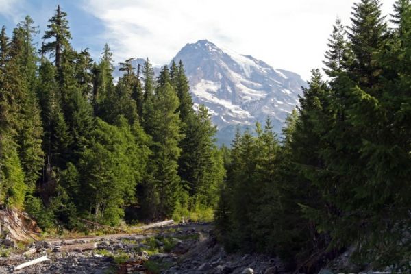 Mt Rainier
