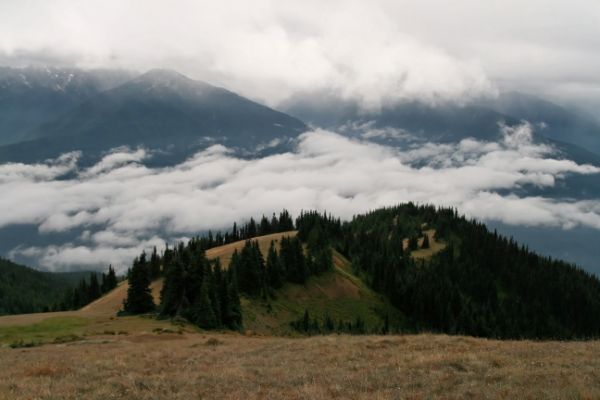 Hurricane Hill
