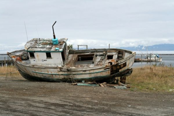 Neah Bay Wrack
