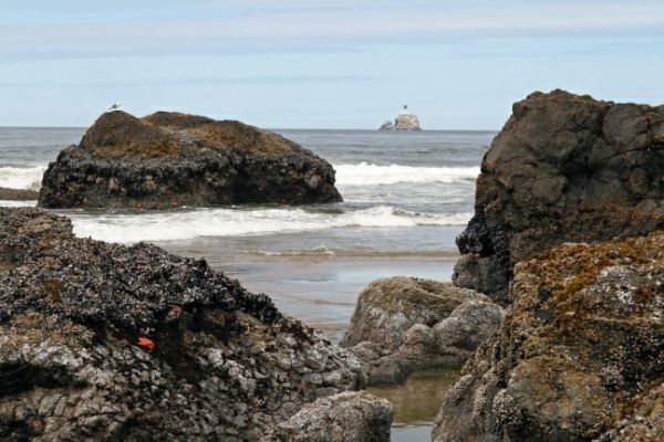 Tillamook Rock Light

