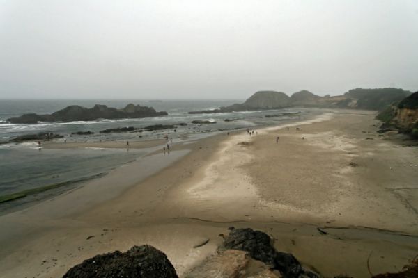 Oregon Coast
