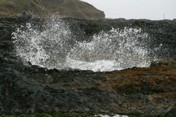 Cape Perpetua
