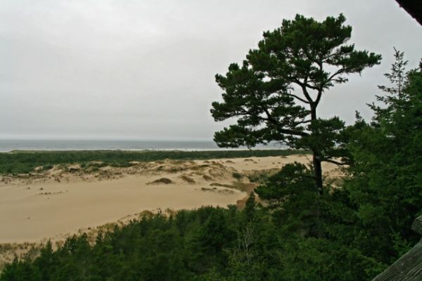 Oregon Dunes
