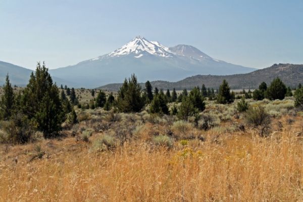 Mt Shasta
