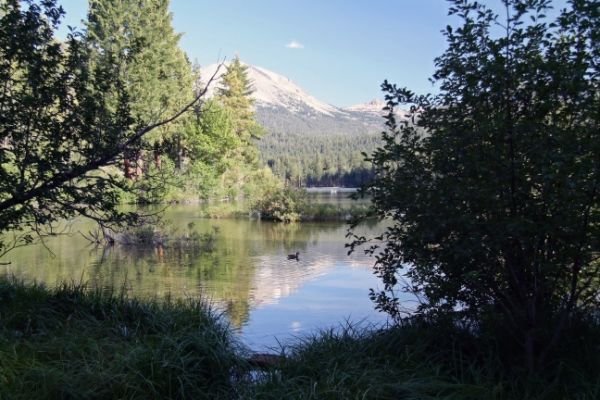Lake Manzanita
