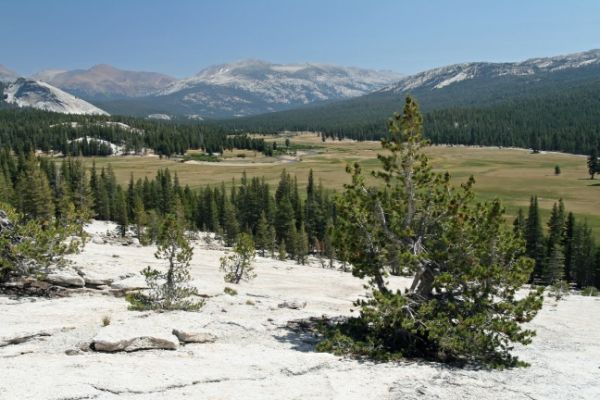 Tuolumne Meadows
