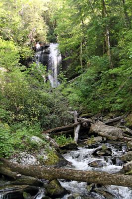 Anna Ruby Falls
