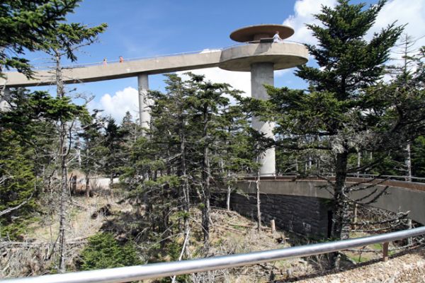 Clingmans Dome
