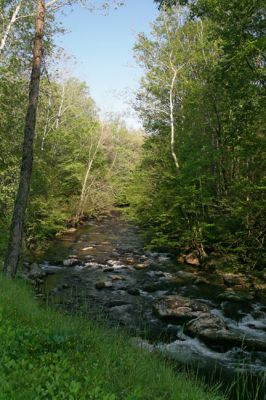 Mill Creeek Tal

