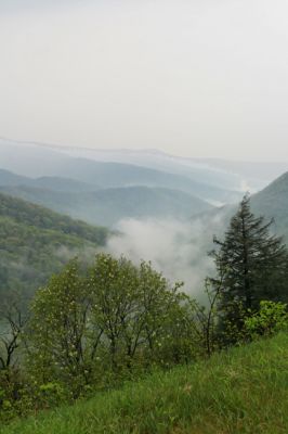 Blue Ridge Parkway
