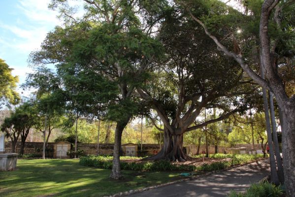 Santa Barbara Mission Friedhof
