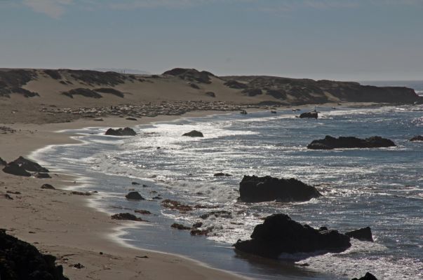 San Simeon See Elefanten
