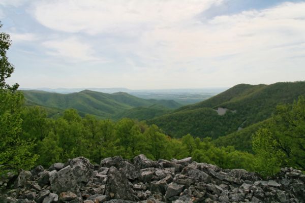 Skyline Drive
