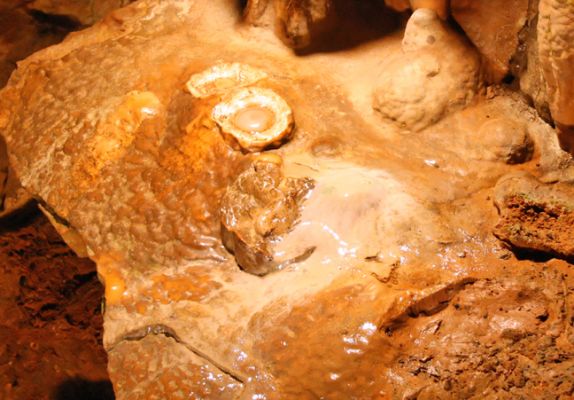 Luray Caverns, Fried Eggs
