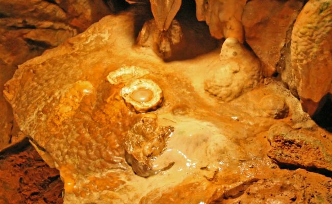 "Fried Eggs" (Luray Caverns)
