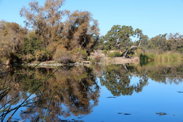 Heather Farm Park
