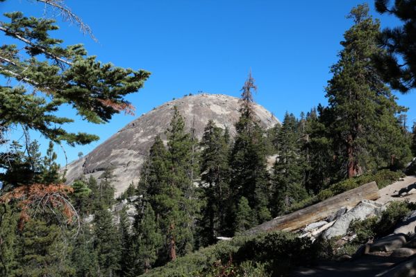 Yosemite NP Sentinel Dome
