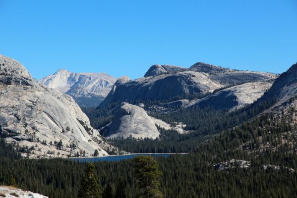 Yosemite Olmsted Point Tenaya Lake
