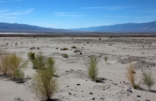 Owens Lake
