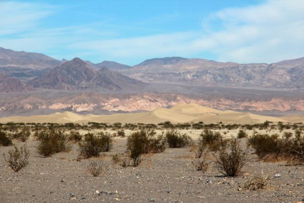 Death Valley Mesquite Sand Dunes
