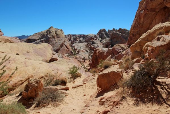 Valley of Fire White Domes Trail

