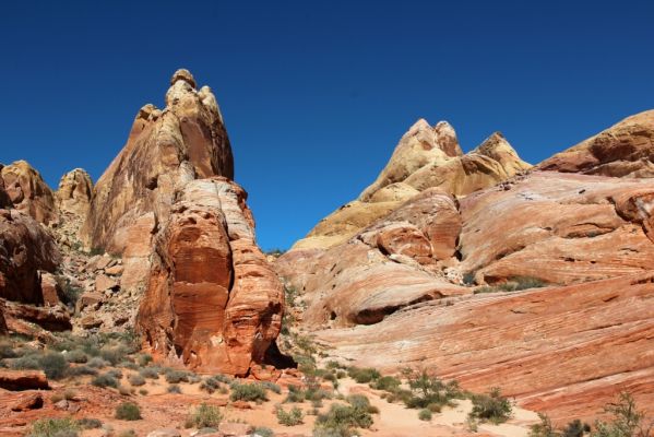 Valley of Fire White Domes Trail
