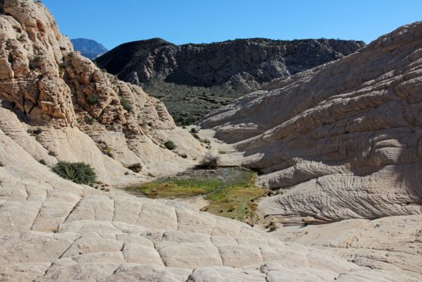 Snow Canyon White Rocks
