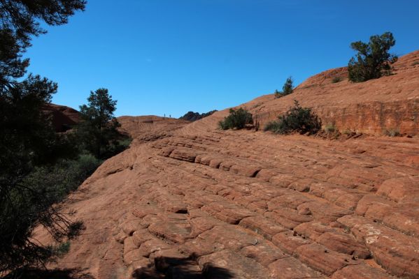 Snow Canyon Petrified Dunes
