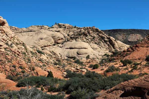 Yellow Knolls
