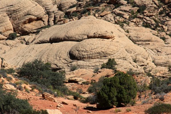 Yellow Knolls
