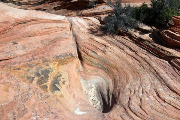 Many Pools Trail
