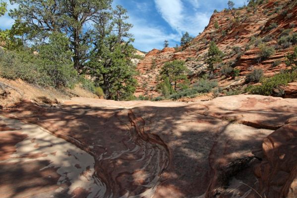 Many Pools Trail
