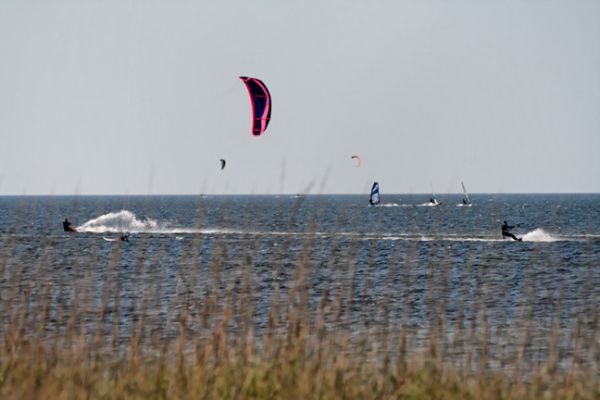 Outer Banks, Surfer
