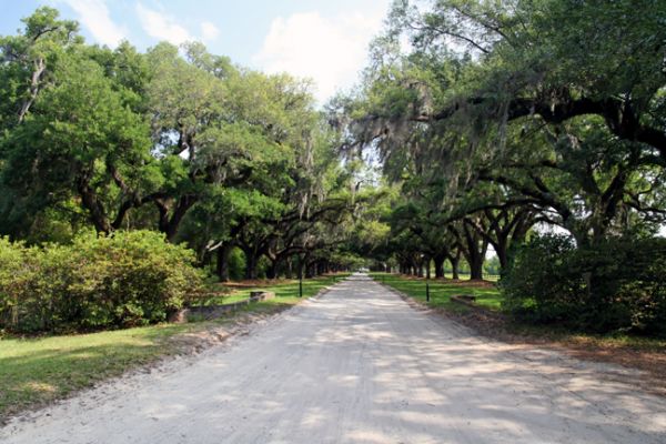 Boone Hall Plantation, Zufahrt
