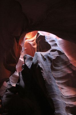 Upper Antelope Canyon Grizzly Bear
