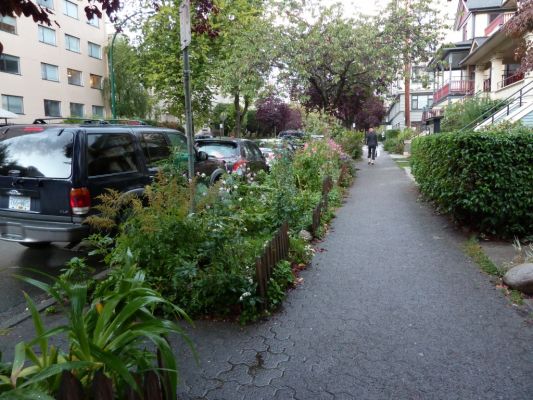 Vancouver Urban Gardening

