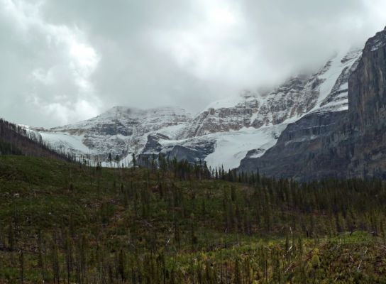 14 Kootenay NP
