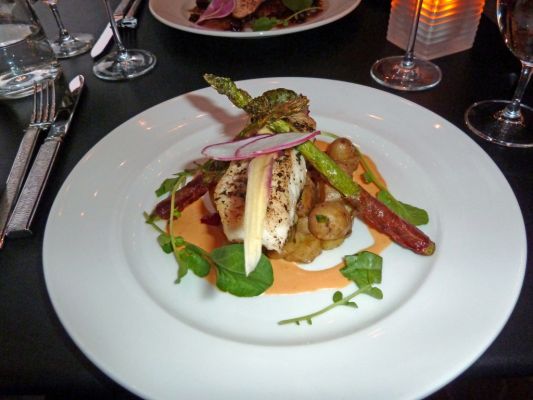 22 Halibut

