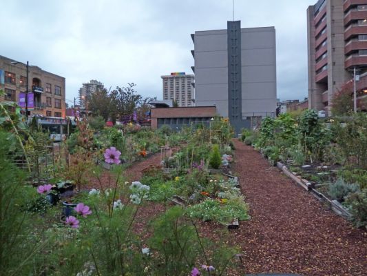 33 Gardening
