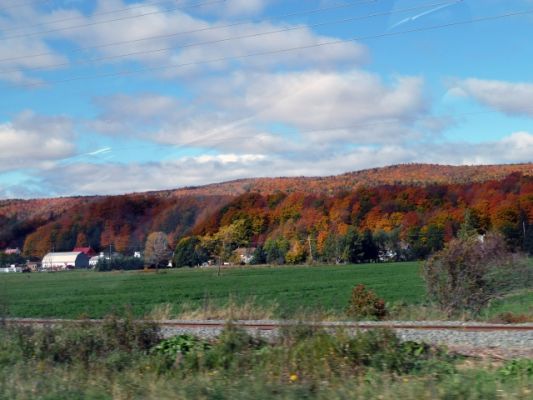 Charlevoix Herbstwald
