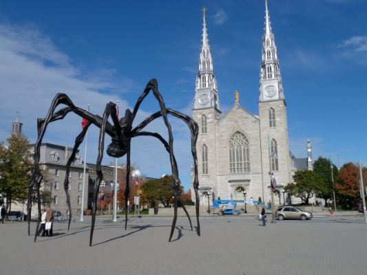 Ottawa Notre Dame Cathedral und Spider
